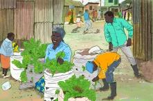 People growing plants in a slum. Background: Young people playing football.