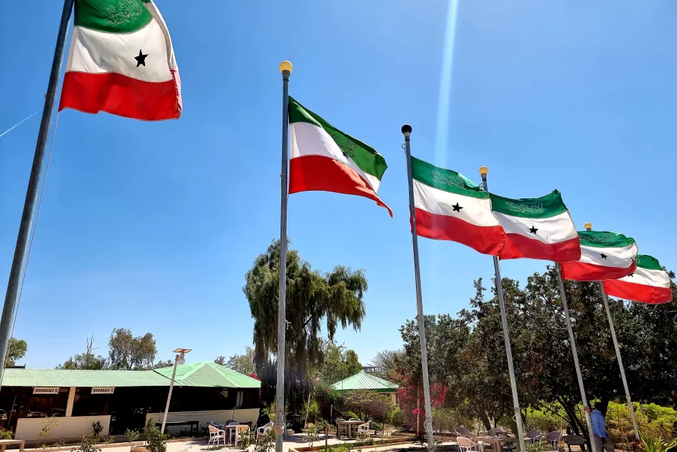 Somaliland Flags