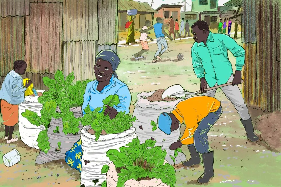 People growing plants in a slum. Background: Young people playing football.